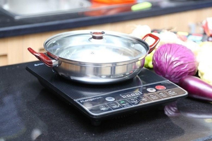 Bếp từ đơn, Bếp hồng ngoại đơn 2